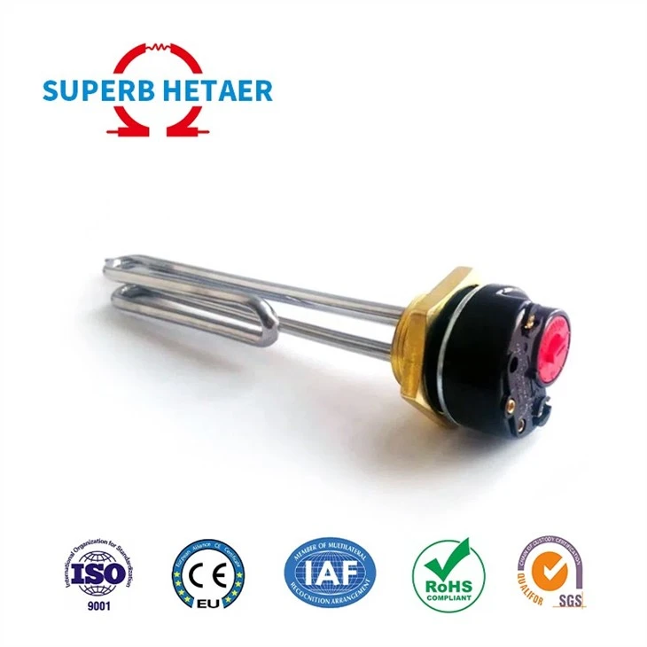 Electric Water Heater Element DC Immersion Tubular Heating Element With 1'' BSP/NPT